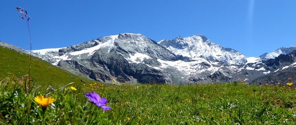 2016-Weisshorn_10.jpg 